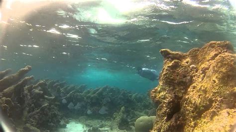 Snorkel Adventures In Aruba Part 2 YouTube
