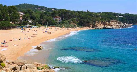 9 strände in barcelona 6 strände außerhalb erreichbarkeit mit dem öpnv wasserqualität strandbars. Baden gehen in der Umgebung · BarcelonAlemany