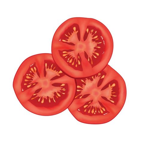 흰색 배경 위에 고립 된 토마토를 슬라이스 벡터 일러스트 레이 션 — 스톡 벡터 24521741