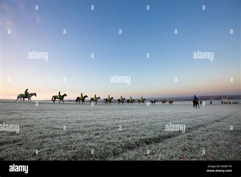 Racehorses Training On Newmarket Heath In Suffolk On Friday Morning