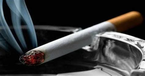 Bahaya Rokok Kesan And Akibat Tabiat Merokok Kesan Buruk Rokok