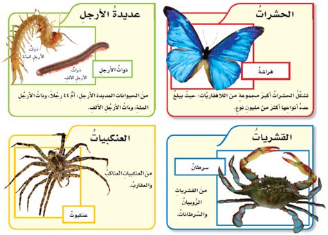 صور عن المفصليات