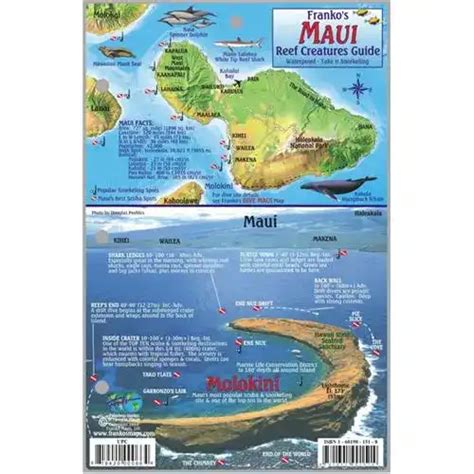 Buy Franko Maps Maui Reef Creatures Fish Id Card Frankos Maps
