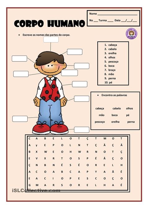 Corpo Humano Atividades De Corpo E Movimento Na Educação