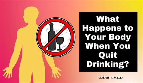 Quitting Alcohol Timeline What To Expect When You Stop Drinking