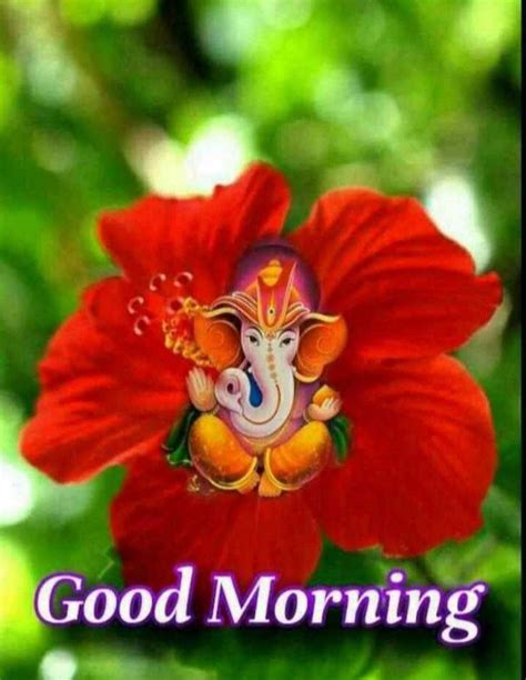 Pin by Aditi Kumari on Wednesday morning | Good morning flowers, Good morning picture, Morning ...