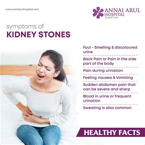 Symptoms Of Kidney Stone Multispeciality Hospitals In Chennai