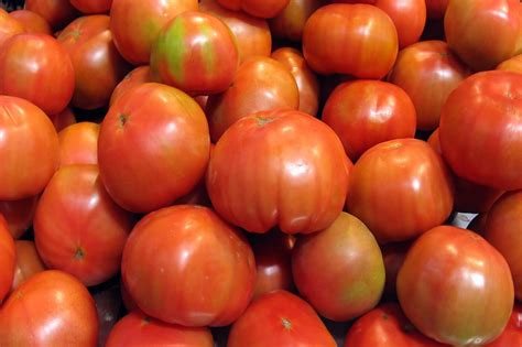 Commerce Slices Into Mexican Tomato Imports Article Compliance Week