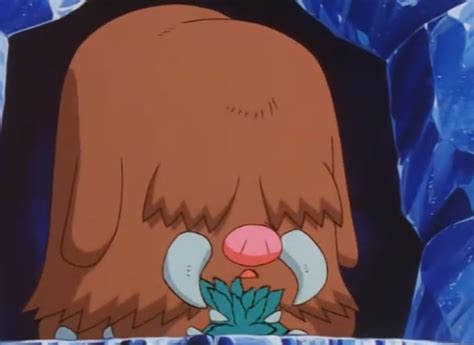 Piloswine can learn ancient power when it evolves from swinub, but if you've missed that chance or caught a piloswine in the wild. How to Evolve Piloswine in Pokemon Sword and Shield | Tips ...