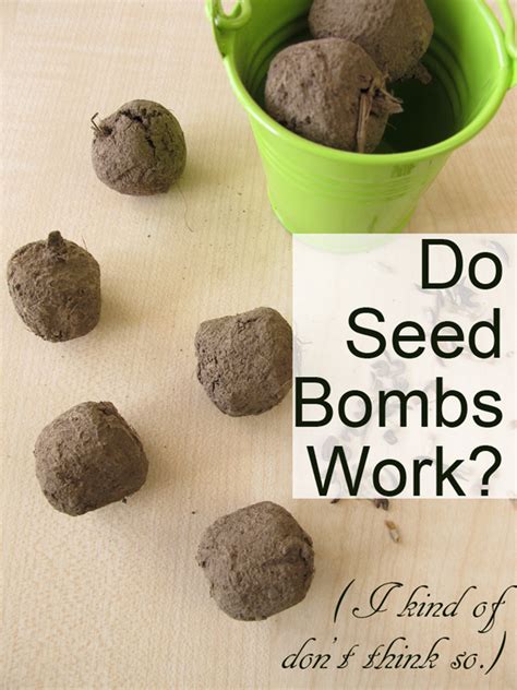 Do Seed Bombs Work I Kind Of Dont Think So Crafting A Green World