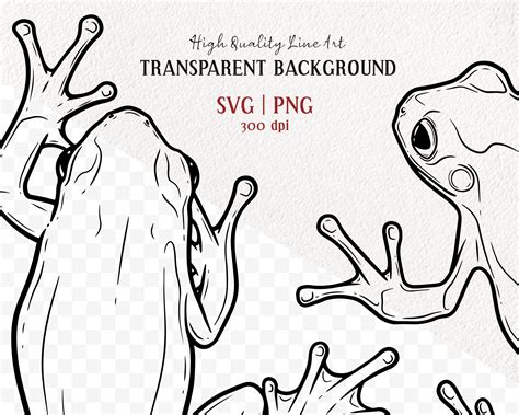 Tree Frogs Vector Line Art Set Illustrations ~ Creative Market