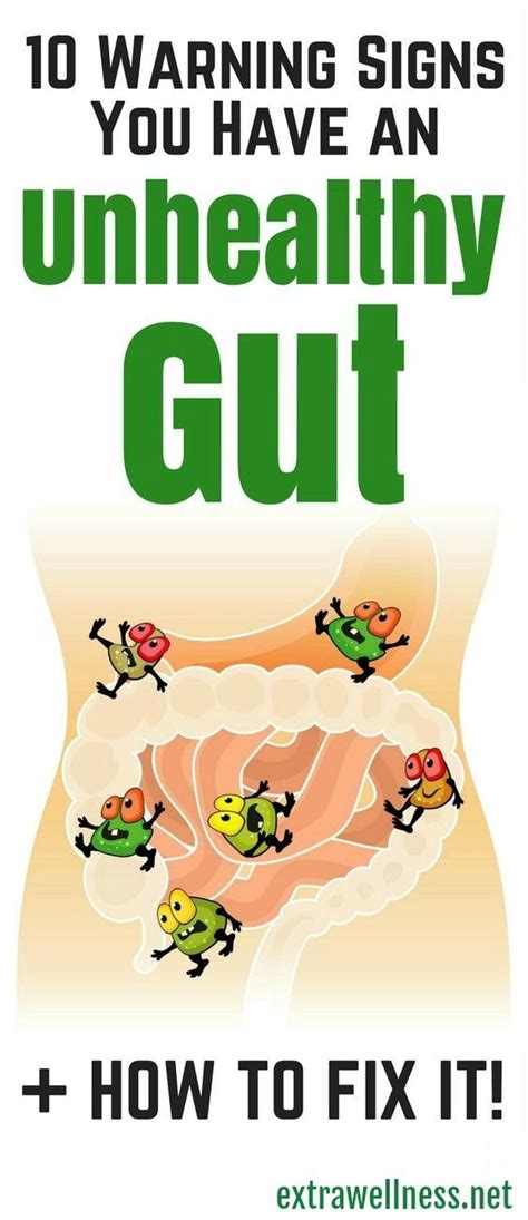 How To Heal Your Gut 10 Healthy Solutions For Fast Relief