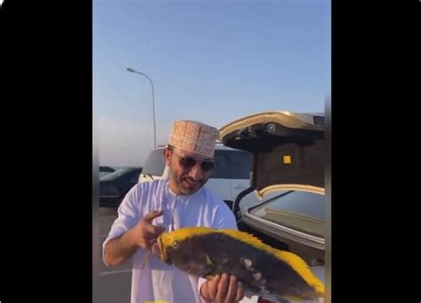 اصطياد سمكة ذهبية نادرة في سلطنة عمان وسعرها خيالي فيديو