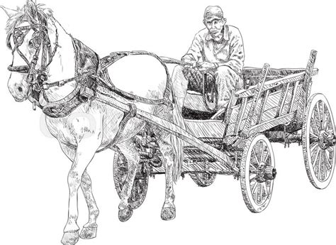 Horse And Horse Cart Sketch Stock Vector Colourbox
