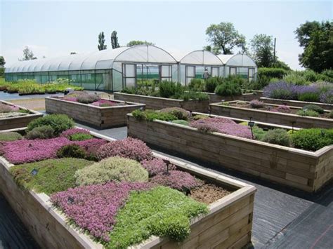 Welcome To Jekkas Herb Farm Specialising In Organic Culinary