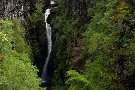 The Spectacular Scottish Gorge With Its Own Microclimate Suspension