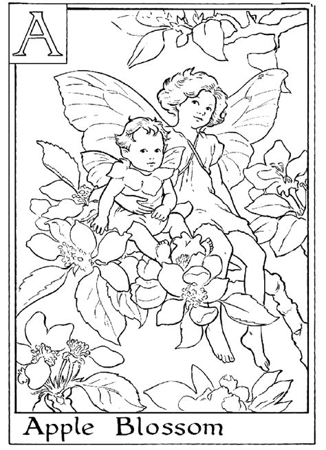 More 100 images of different animals for children's creativity. Woodland Fairy Coloring Pages - Coloring Home