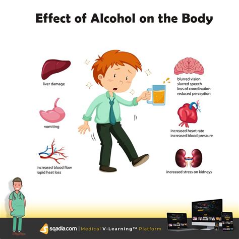 Effect Of Alcohol On The Body Medical College Medical Medical Videos