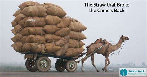 the straw that broke the camels back back on track massage and chiropractic