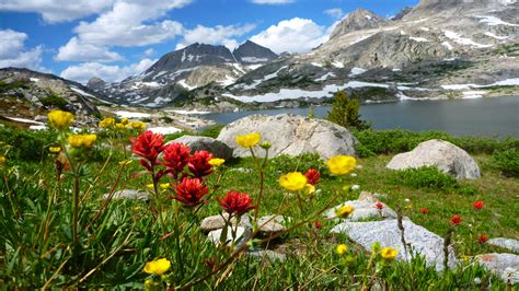 Wallpaper Hd Landscape Lake Mountains Grass Spring Flowers And White