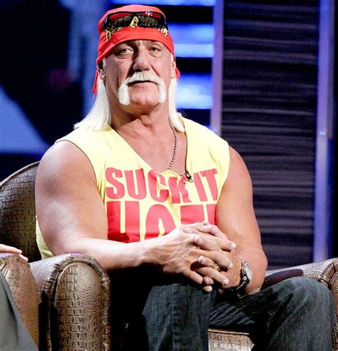 Hulk Hogans Wwe Contract Terminated As He Alludes To Storm Us Weekly