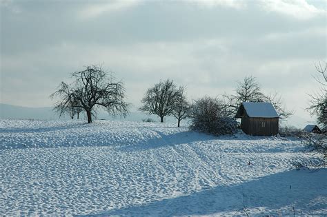 Gratis Billeder Landskab Træ Bjerg Sne Kold Vinter Himmel