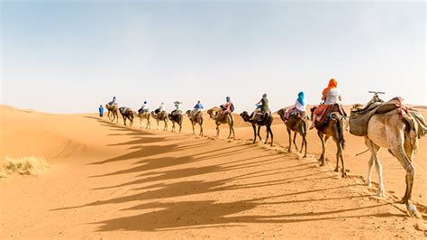 Why Travel To The Sahara