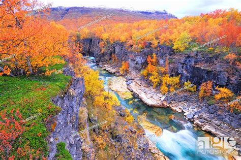 Autumn Scenery In The Abisko Canyon With Abiskojakka River Sweden