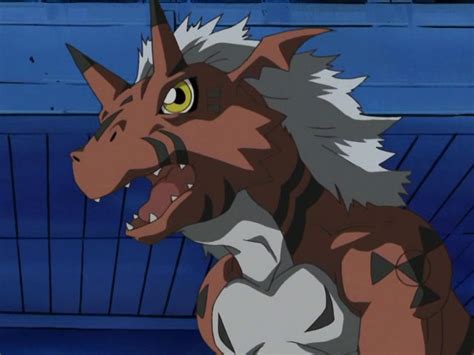 Growlmon Digimon Wiki Fandom Powered By Wikia