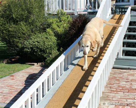 Build A Ramp For Stairs With Images Dog Ramp For Stairs Outdoor