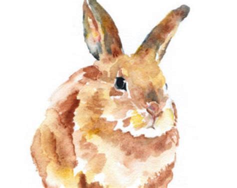 Watercolor Painting Bunny Rabbit Giclee Print 8x10 85 X 11 Rabbit