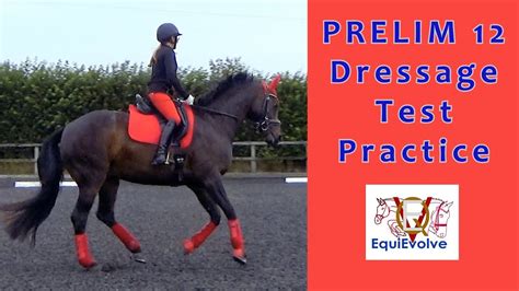 Prelim 12 Dressage Test Learning Tool Youtube