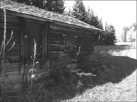Northern Interior British Columbia 1890 Telegraph Cabin Quick British
