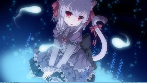 23 Neko Cute Anime Cat Girl Wallpaper Background Anime Hd Wallpaper