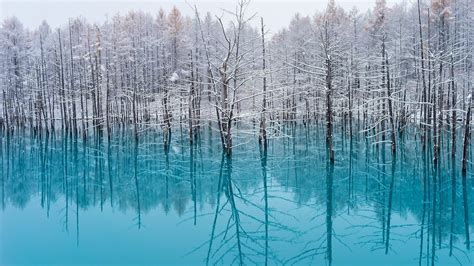 Lake Trees Nature Turquoise Water Snow Reflection