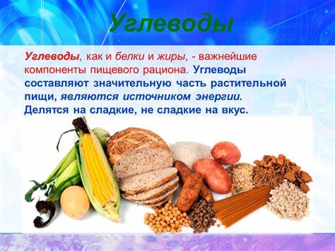 Жиры углеводы белки диета Что относится к углеводам белкам и жирам таблица: Рацион питания Что относится к углеводам белкам и жирам таблица: Рацион питания Жиры углеводы белки диета