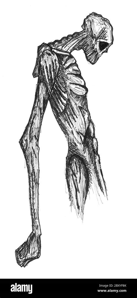 Top 73 Skeleton Pencil Drawing Latest Nhadathoanghavn