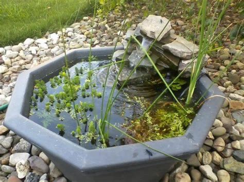 17 Gorgeous Low Budget Diy Mini Ponds Learn How To Make It The Art