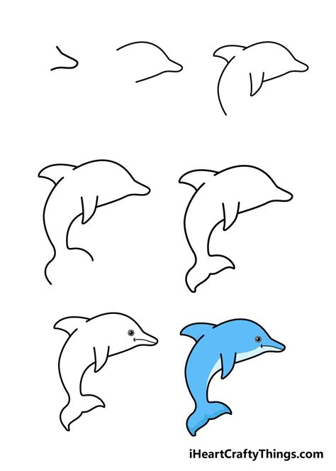 How To Draw A Dolphin A Step By Step Guide Dolphin Drawing Cartoon