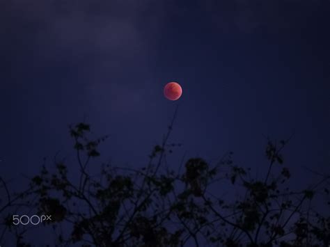 Eyes On The Moon Not The Stars Super Blue Blood Moon 31 January