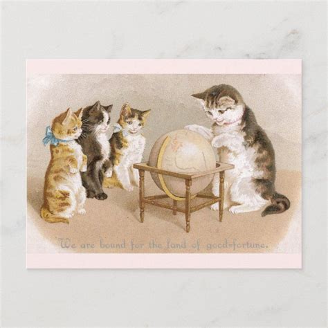 Cartographer Cat And Three Kittens Postcard Zazzle Kittens Vintage