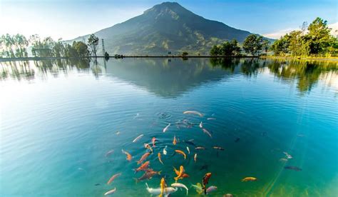 Tempat prewedding bandung foto prewedding di bandung paket wedding harga lokasi prewedding di bandung pra wedding bandung jasa halo guys, kamu berencana mencari tempat prewedding bandung sesuai dengan ide dan konsep favorit kamu? Embung Kledung Temanggung, Panorama Alam Pegunungan yang ...