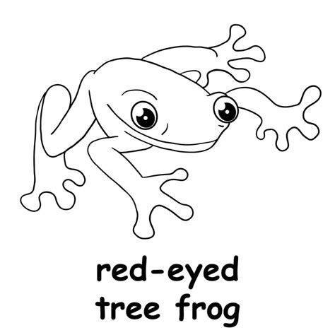 Kids Line Illustration Coloring Red Eyed Tree Frog Outline Vector For