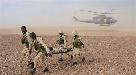 Us Nigerien Troops Killed On Ambush On Patrol In Niger The Rainbow