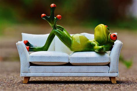 Free Images Grass Sweet Flower Cute Green Rest Frog Furniture