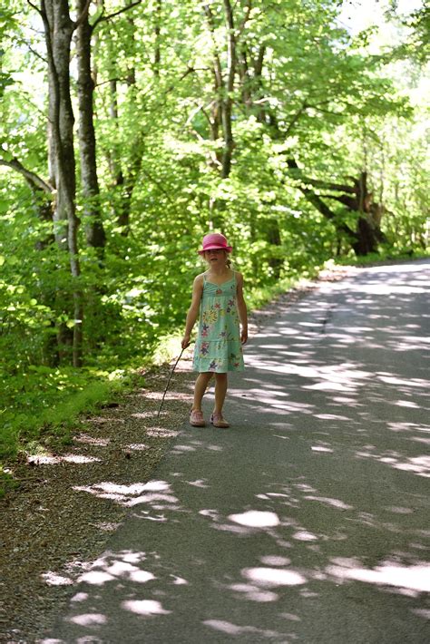 Free Images Tree Nature Forest Grass Walking Girl Trail Leaf Walk Spring Green