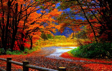 Autumn Nature Wallpapers All New Wallpaper
