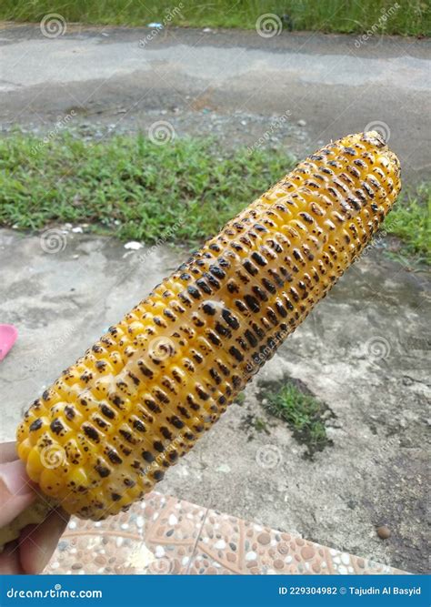Jagung Bakar Fried Corn stock photo. Image of fried - 229304982