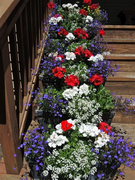 Best 15 Stunning Summer Planter Ideas To Beautify Your Home July
