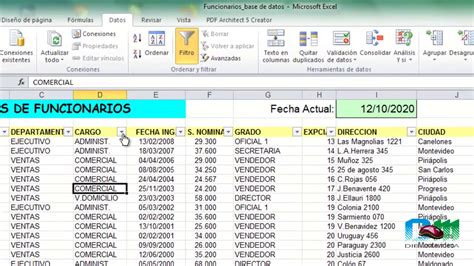 Base De Datos En Excel Excel Total Riset